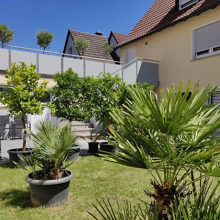 Haus Zum Schlosspark Veitshöchheim Esterno foto